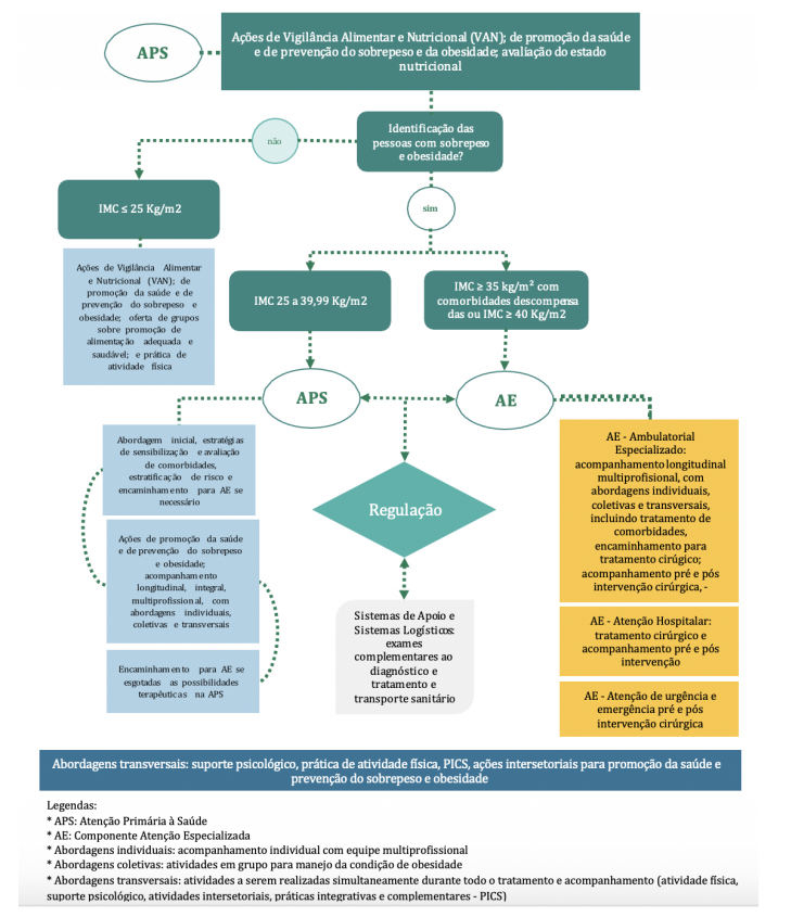 imagem de Fluxo de atendimento ao indiv&iacute;duo com sobrepeso ou obesidade no SUS